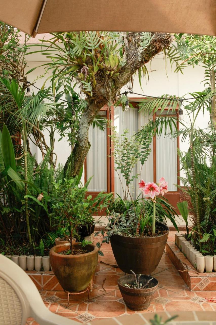 Posada Galeria Alberto Sedas Huatusco Екстериор снимка